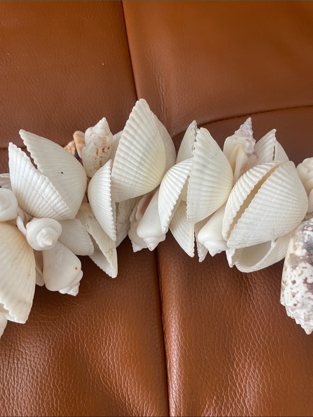 Shell Decor Strand - Picture 3 of 7